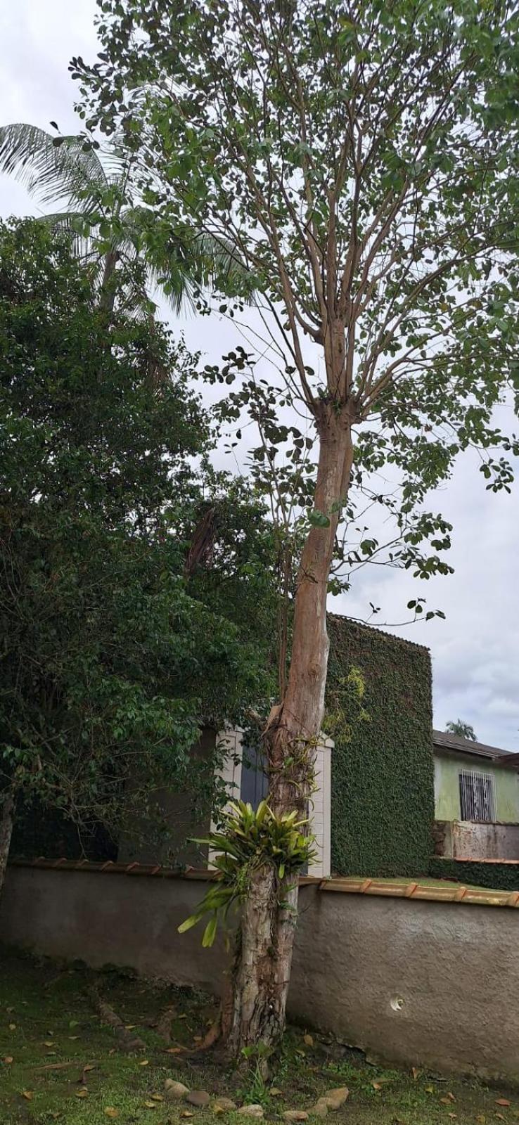 Casa Da Vo *